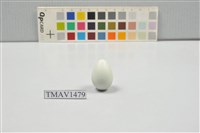 藏品(灰椋鳥卵)的圖片